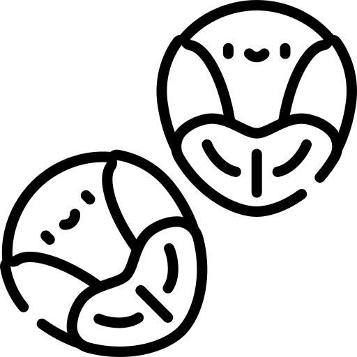 抱子甘蓝
