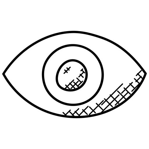 Eye