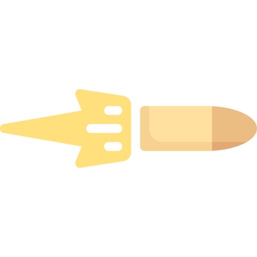 Bullet