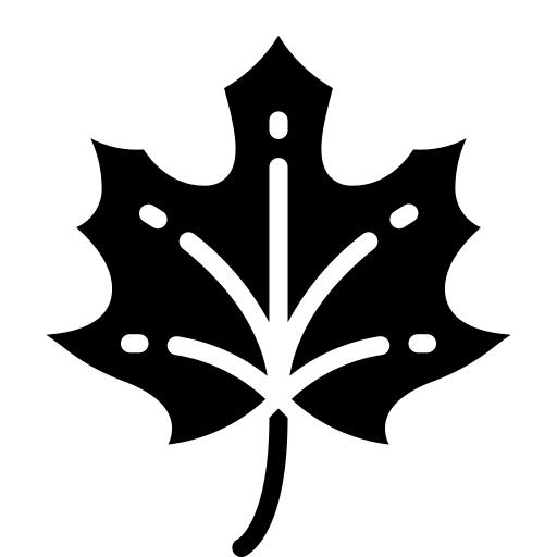 Maple leaf