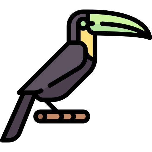 Condor