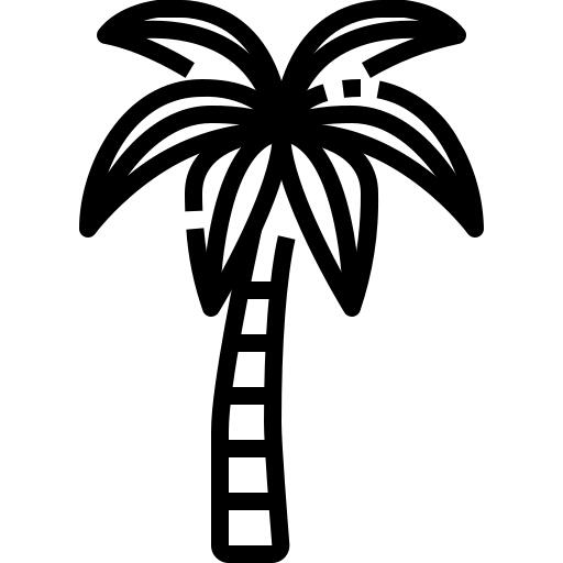 椰子树