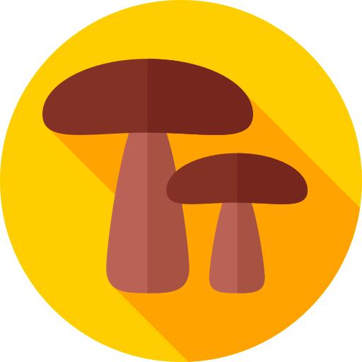 蘑菇