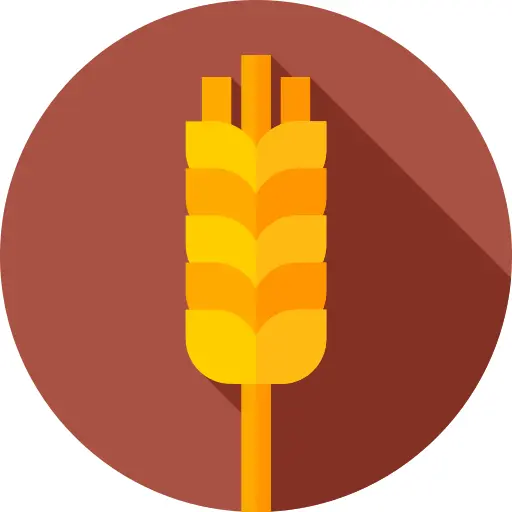 Wheat