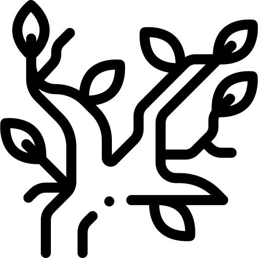 Branch