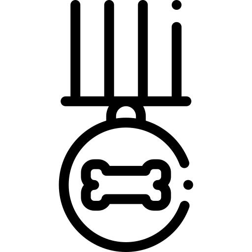 Medal
