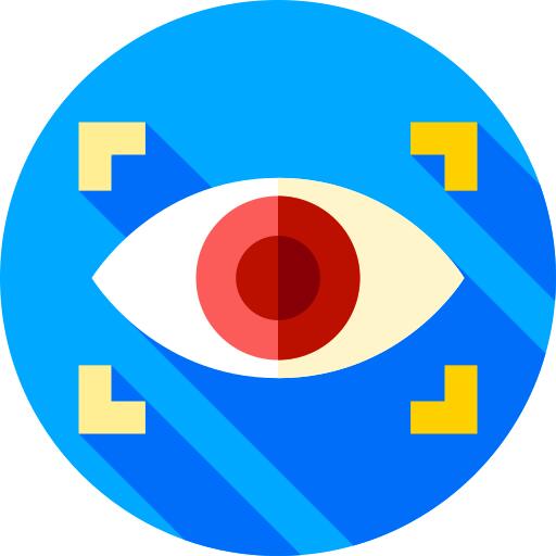 眼部扫描