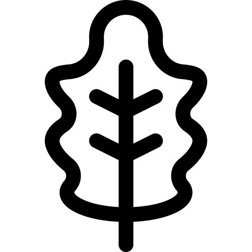 橡树叶