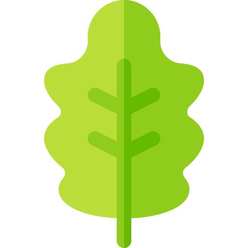 橡树叶