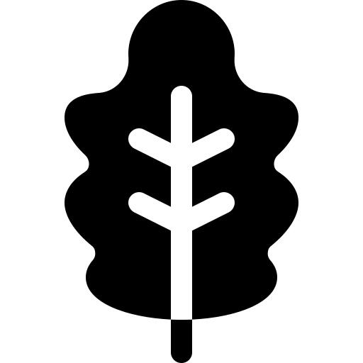 橡树叶