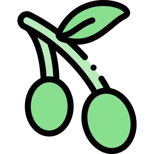 橄榄