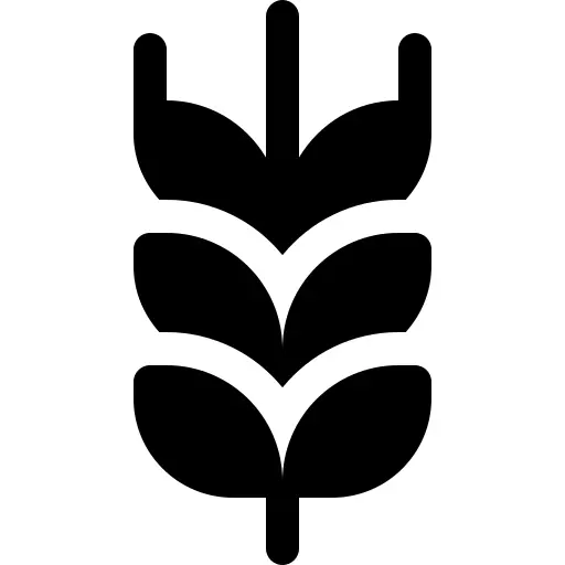 小麦