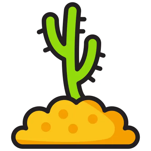 Cactus