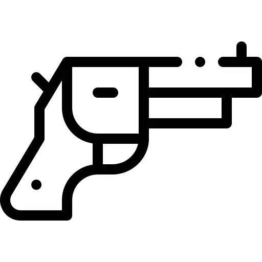 Gun