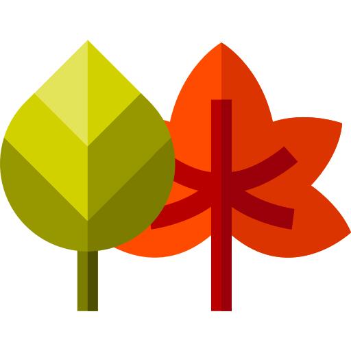 树叶