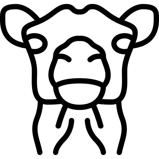 骆驼