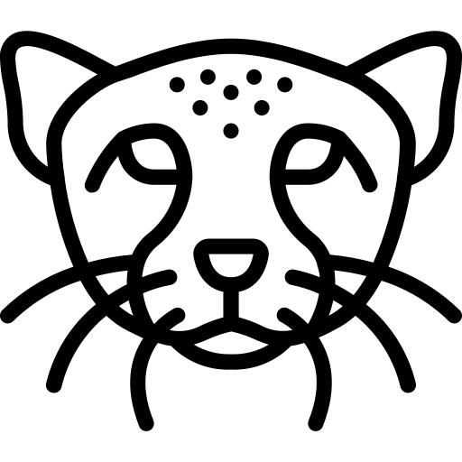 Cheetah