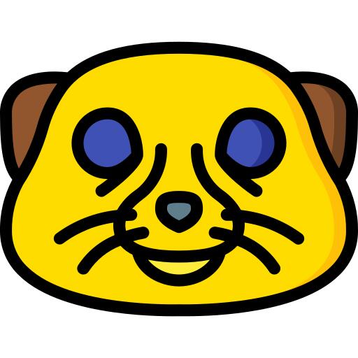 Meerkat