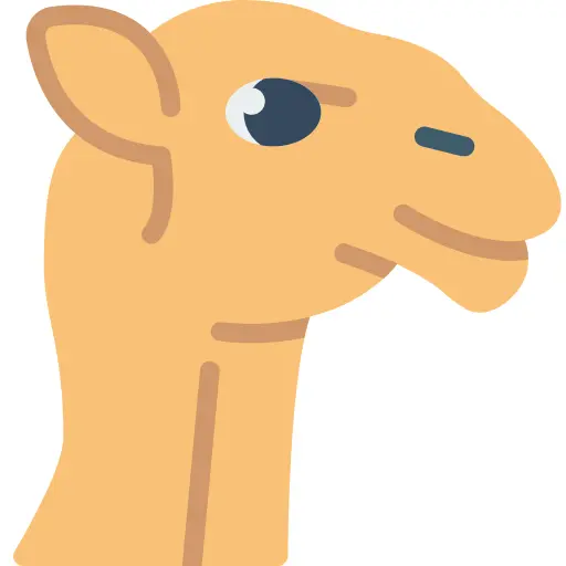 Camel