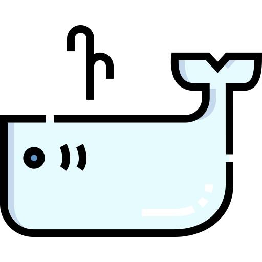鲸
