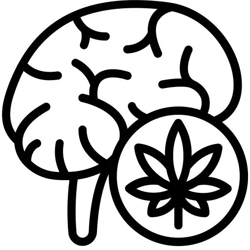 Brain
