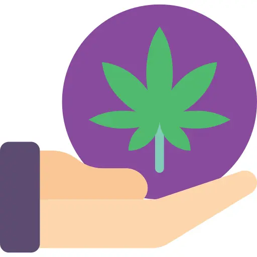Cannabis