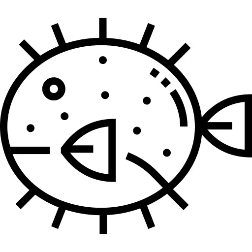 Puffer fish
