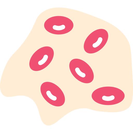 Omelette