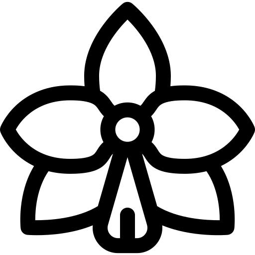 Orchid