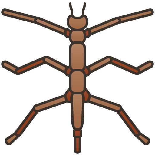 Bug