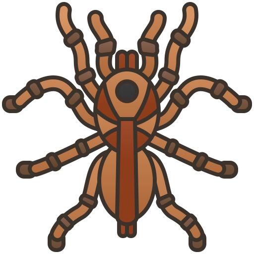 Tarantula
