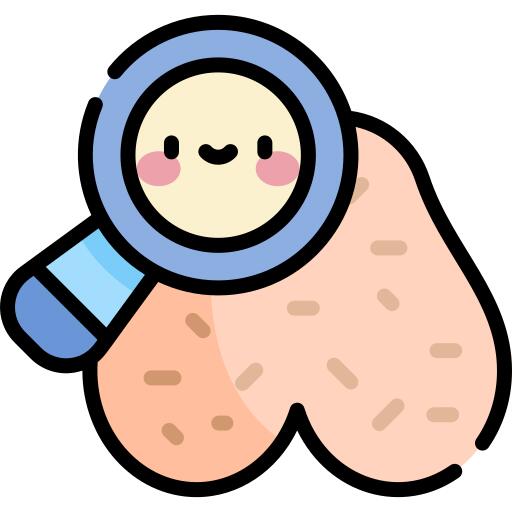 检查