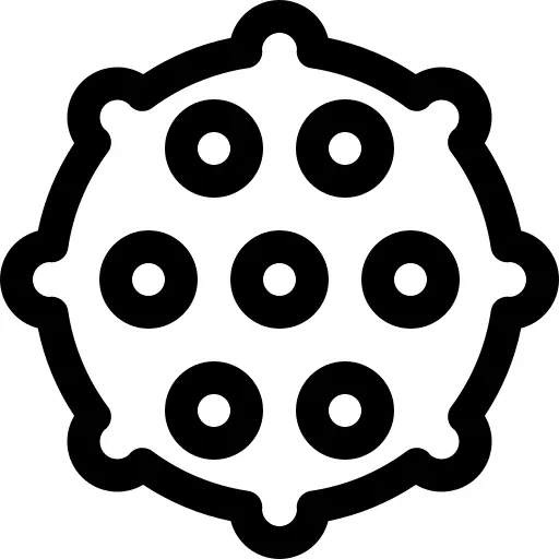 宠物