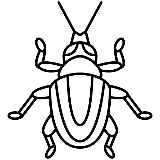 Weevil