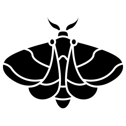 蛾