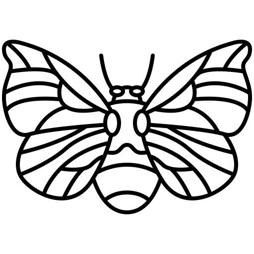 Moth