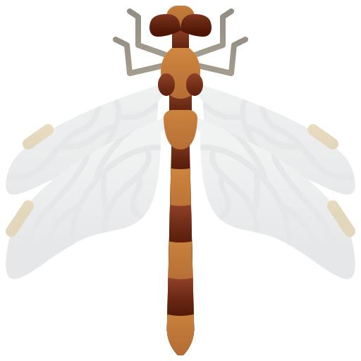 Giant dragonfly