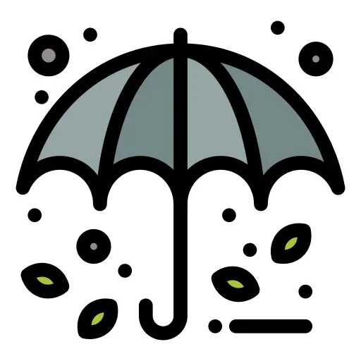 雨伞
