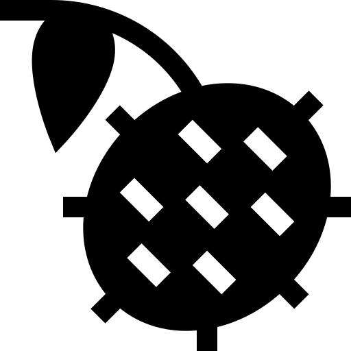 红毛丹