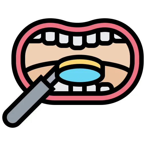 检查