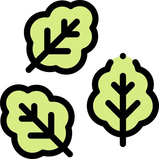 蔬菜