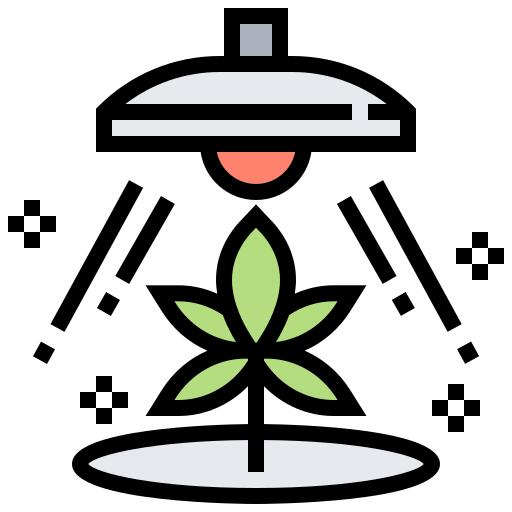 大麻