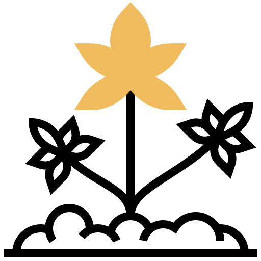 大麻