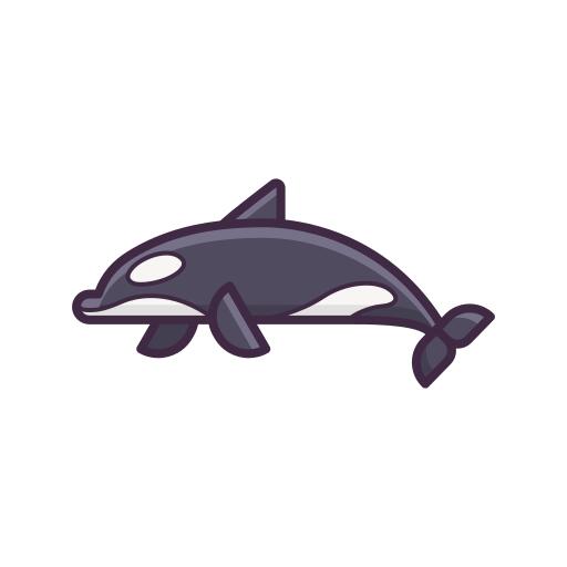 Killer whale
