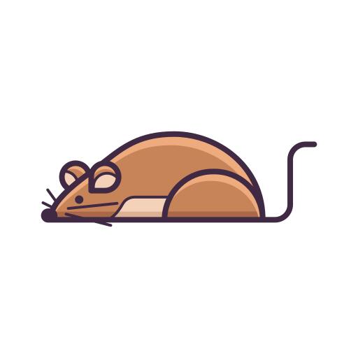 Rat