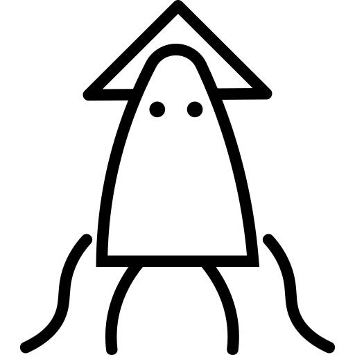 Squid
