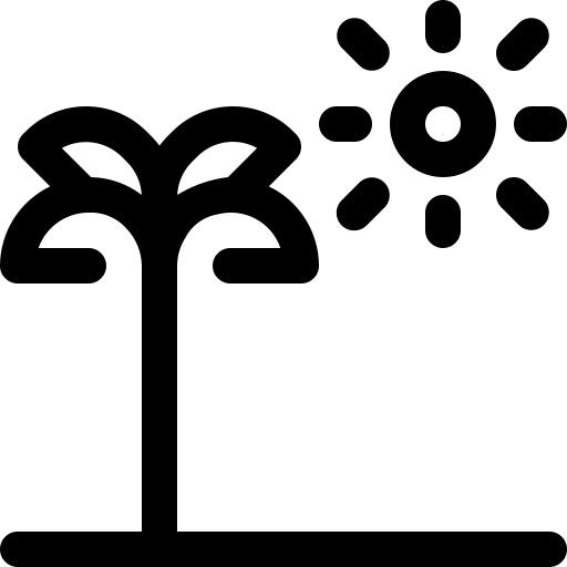 椰子树