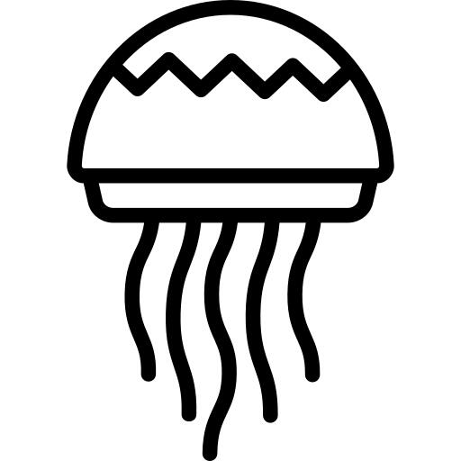 海蜇