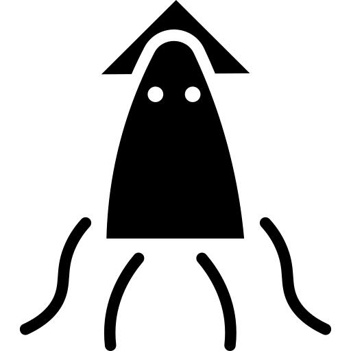 Squid