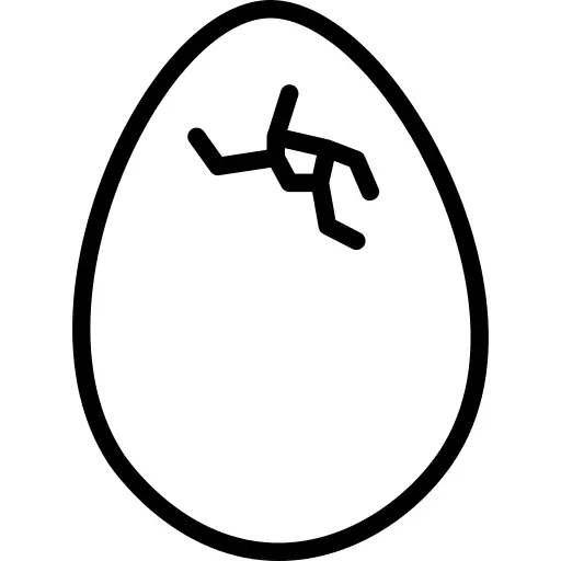 蛋